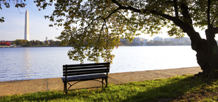 fall bench wch